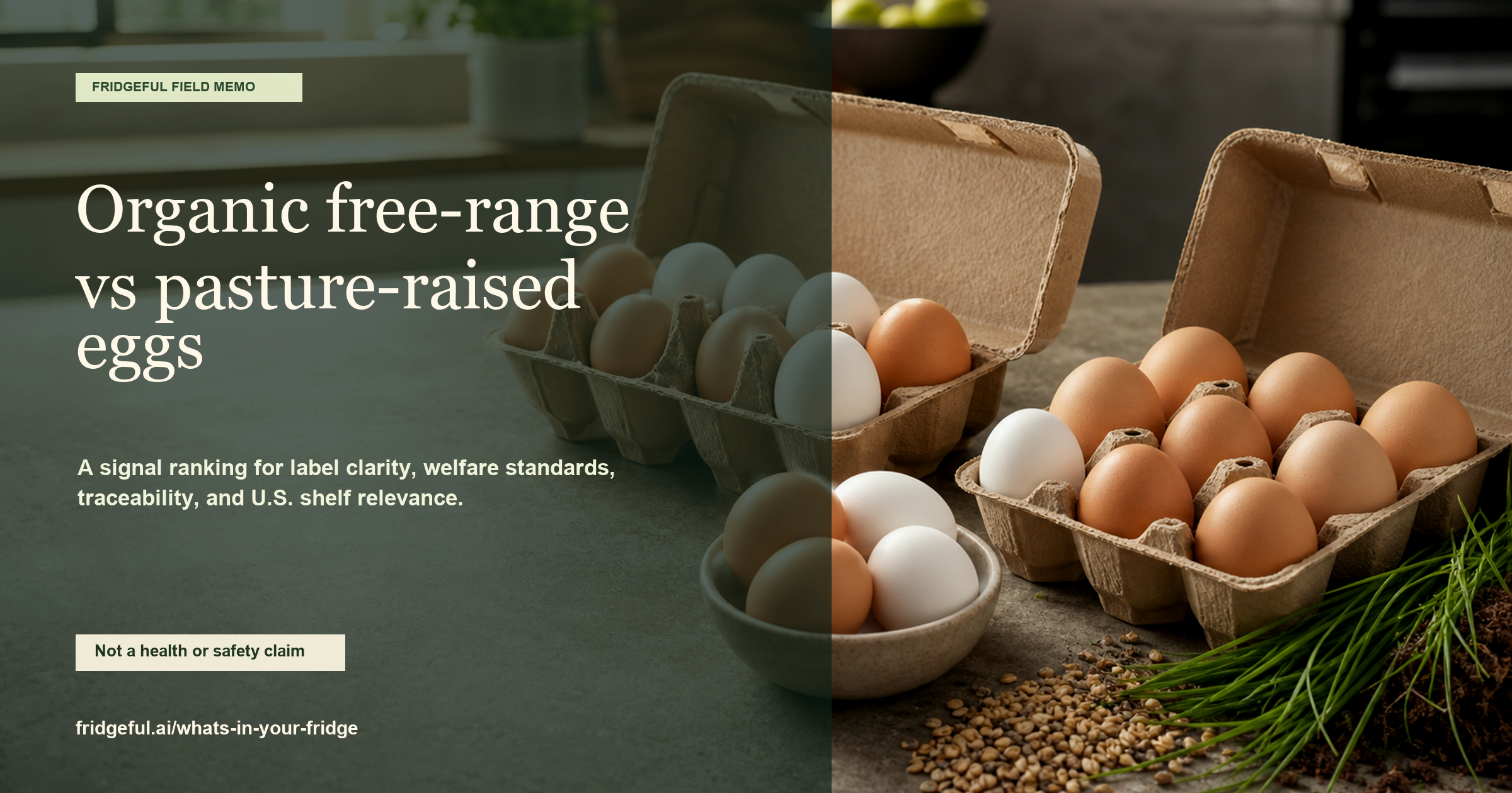 Organic Free-Range Eggs Versus Pasture-Raised Eggs editorial image